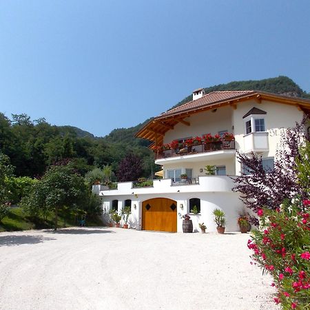 Apartament St. Josefhof Caldaro Zewnętrze zdjęcie